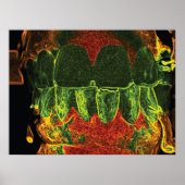 Crazy Teeth Bite Dentist Orthodontist Poster (Vorne)