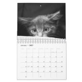 Crazy über Cats 2023 Wandkalender (Jan 2027)