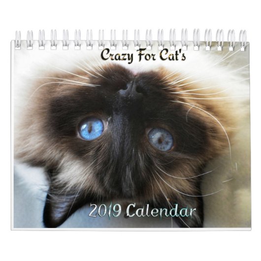 Crazy über Cats 2023 Wandkalender (Titelbild)