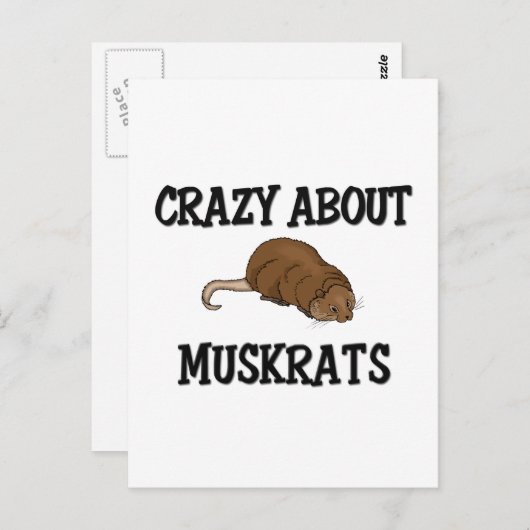 Crazy über Muskrats Postkarte (Vorne/Hinten)