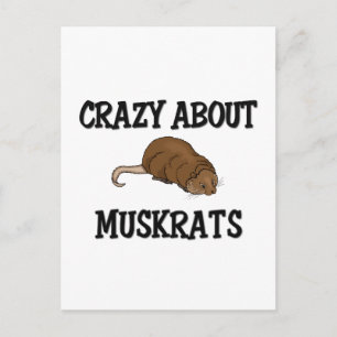Crazy über Muskrats Postkarte