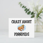 Crazy über Pinnipeds Postkarte (Stehend Vorderseite)