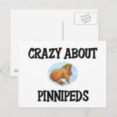 Crazy über Pinnipeds Postkarte (Vorne/Hinten)