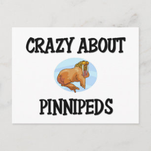 Crazy über Pinnipeds Postkarte