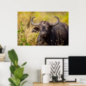 Crazy Water Buffalo Poster (Heimbüro)