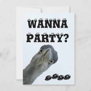Crazy Wild Bird Party Einladung