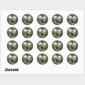 Crazy Wood Stork Stickers (Blatt)