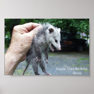 Crazzzy Opossum Poster