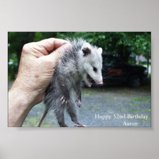 Crazzzy Opossum Poster