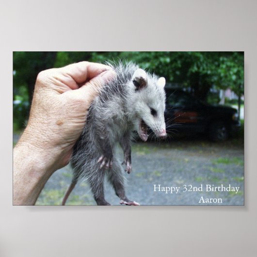 Crazzzy Opossum Poster (Vorne)