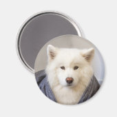 CRB Magnet - Gemütlicher Bär (Vorderseite/Rückseite)