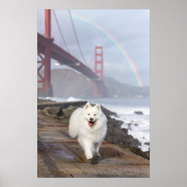 CRB Regenbogenbrücke Poster