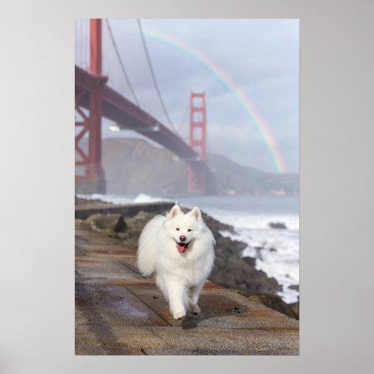 CRB Regenbogenbrücke Poster (Vorne)