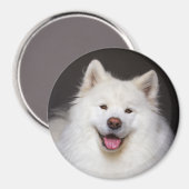 CRB Smiling Magnet (Vorderseite/Rückseite)