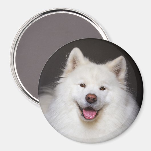 CRB Smiling Magnet (Vorderseite/Rückseite)