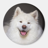 CRB Smiling Magnet (Vorne)