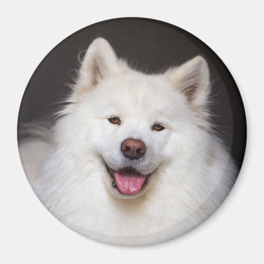 CRB Smiling Magnet (Vorne)