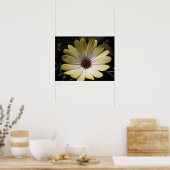 Cream African Rain Daisy Poster (Küche)