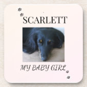 Cream Blush Minimal Pet Photo with Paw Prints Getränkeuntersetzer (Vorderseite)