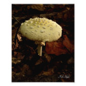 Cream Bowtie Fotodruck (Vorne)