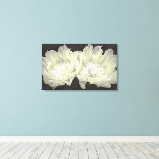 Cream Cactus Blume Leinwanddruck (Insitu (Holzboden))
