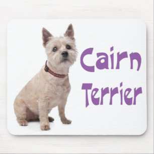 Cream Cairn Terrier Welpen-Hund-Liebe-Mauspad Mousepad