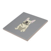 Cream French Bulldog,  Fliese (Seite)