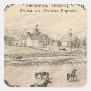 Cream Hill Stock Farm von Shoreham Vermont Quadratischer Aufkleber