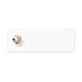 Cream Labradoodle (Vorne)