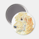 Cream Labradoodle Magnet (Vorderseite/Rückseite)
