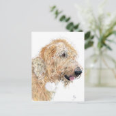 Cream Labradoodle Postkarten (Stehend Vorderseite)