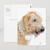 Cream Labradoodle Postkarten (Vorne/Hinten)
