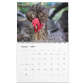 Cream Legbar 2023 Kalender (Feb 2027)