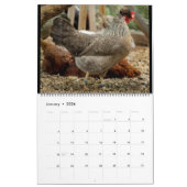 Cream Legbar 2023 Kalender (Jan 2026)