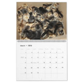 Cream Legbar 2023 Kalender (Mär 2026)