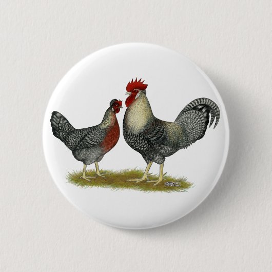 Cream Legbar Chickens Button (Vorderseite)