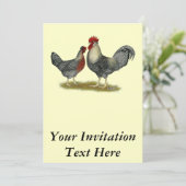 Cream Legbar Chickens Einladung (Stehend Vorderseite)