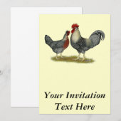 Cream Legbar Chickens Einladung (Vorne/Hinten)