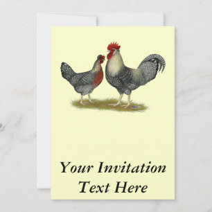 Cream Legbar Chickens Einladung