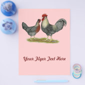 Cream Legbar Chickens Flyer (Einzeln)