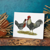 Cream Legbar Chickens Fotoplatte (Seite)