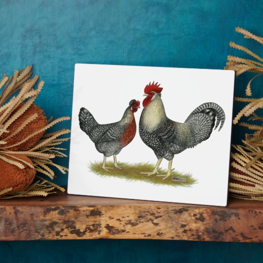 Cream Legbar Chickens Fotoplatte (Seite)