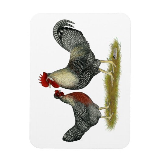 Cream Legbar Chickens Magnet (Vertikal)