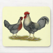 Cream Legbar Chickens Mousepad (Vorne)