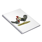 Cream Legbar Chickens Notizblock (Rechte Seite)