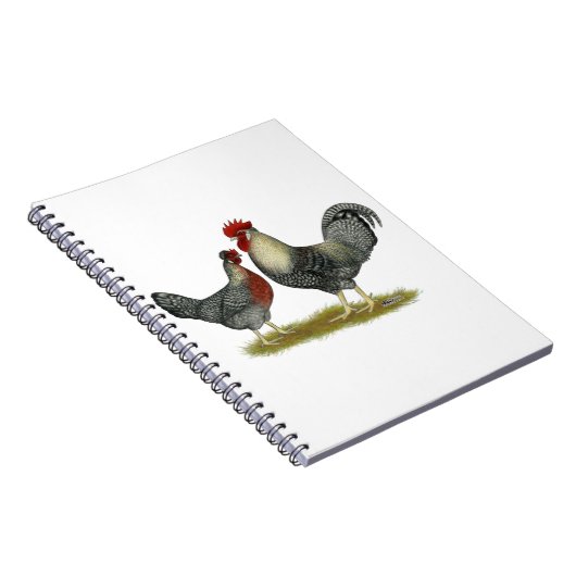 Cream Legbar Chickens Notizblock (Rechte Seite)