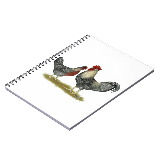 Cream Legbar Chickens Notizblock (Linke Seite)