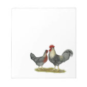 Cream Legbar Chickens Notizblock (Vorderseite)