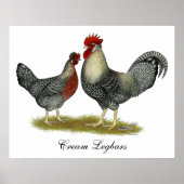 Cream Legbar Chickens Poster (Vorne)