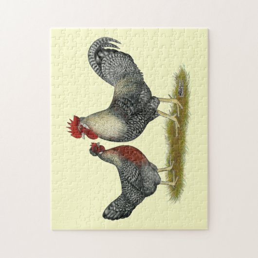 Cream Legbar Chickens Puzzle (Vertikal)